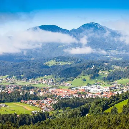 P42 Slovenj Gradec